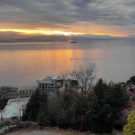 Apartment Ana Opatija Bagian luar foto