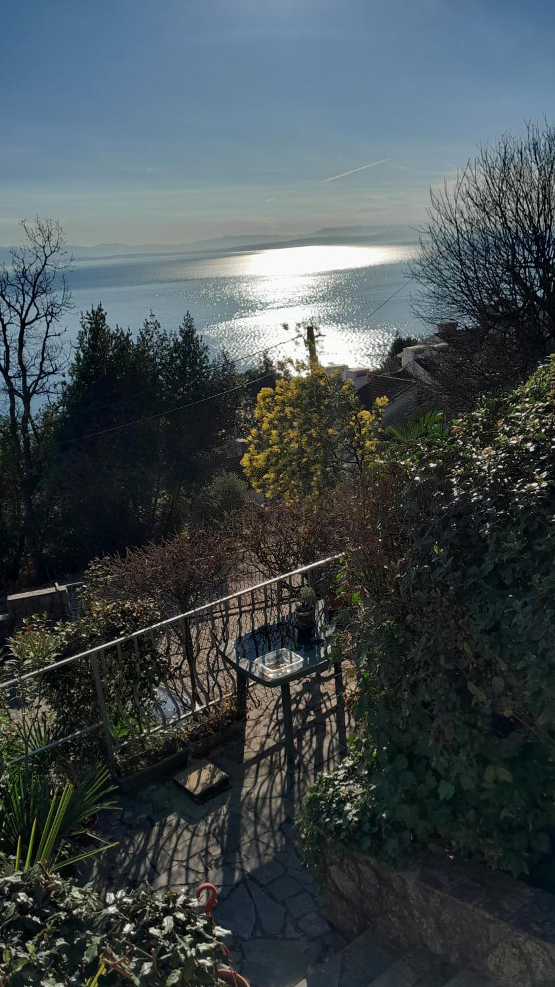 Apartment Ana Opatija Bagian luar foto