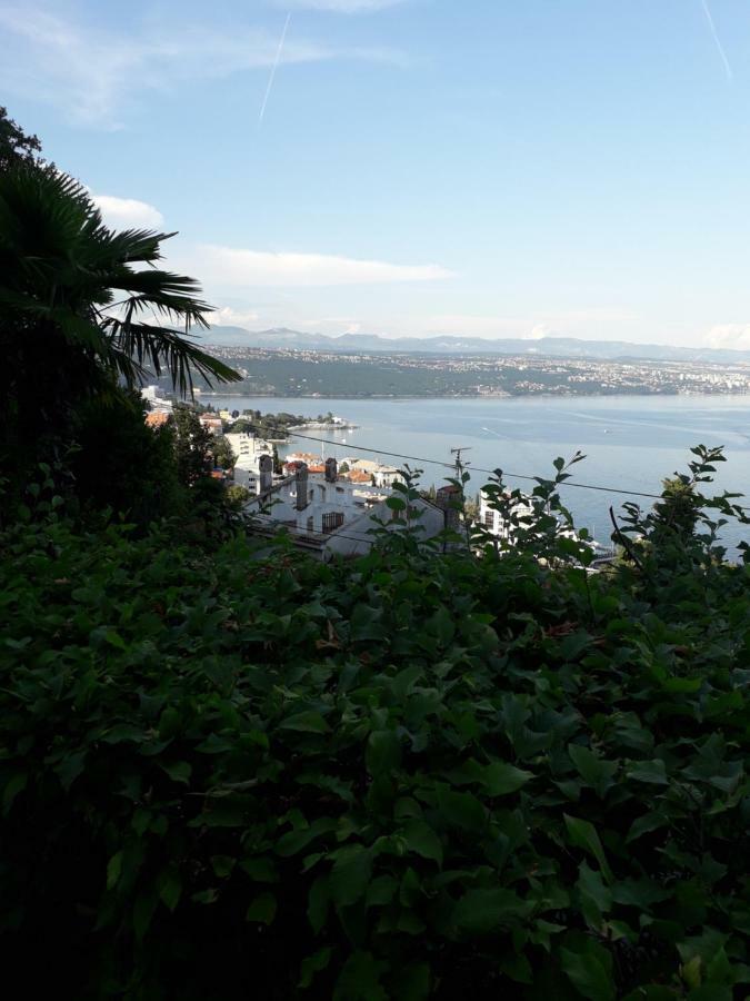Apartment Ana Opatija Bagian luar foto